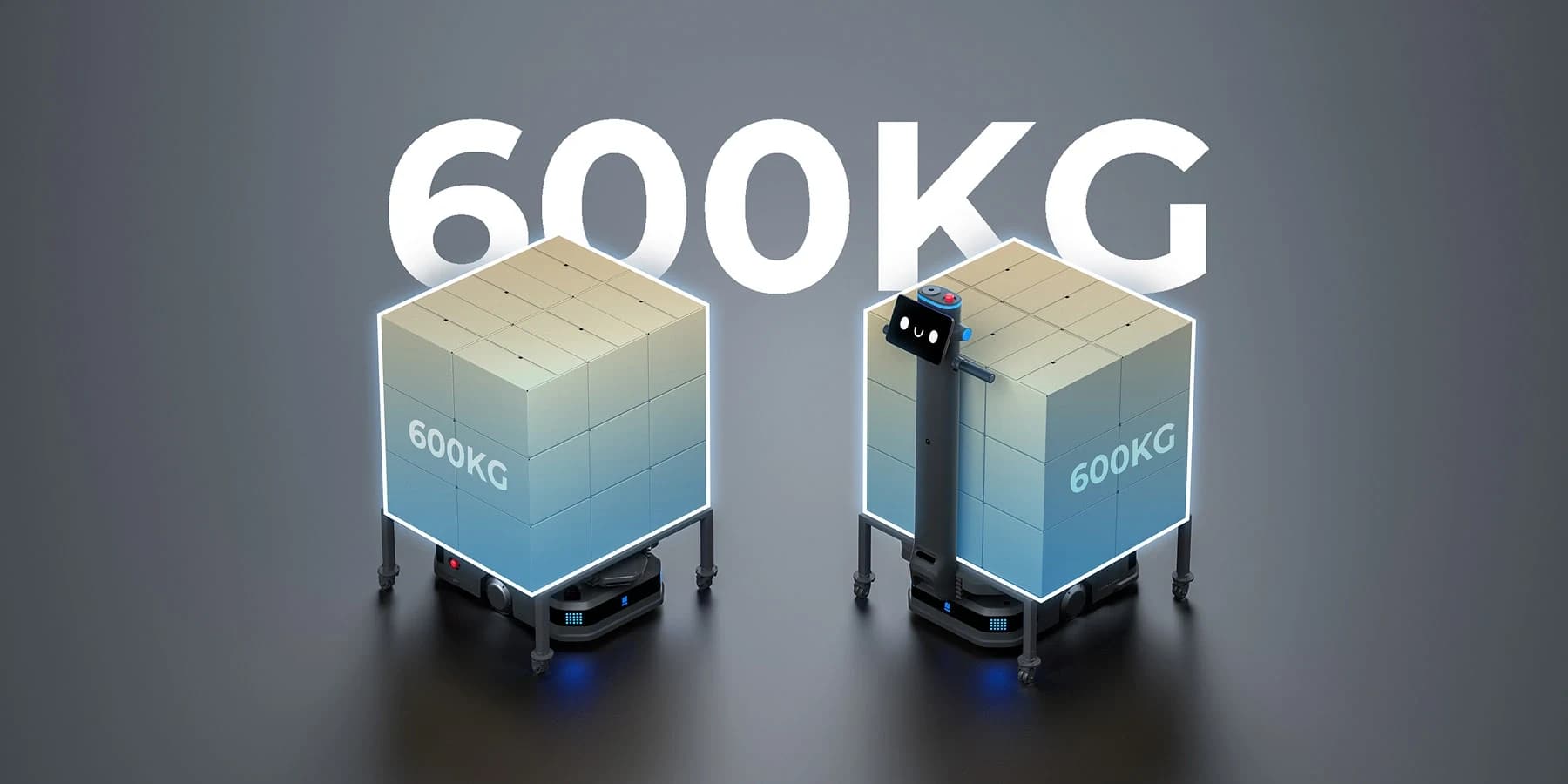 Capacidad de carga de 600 kg